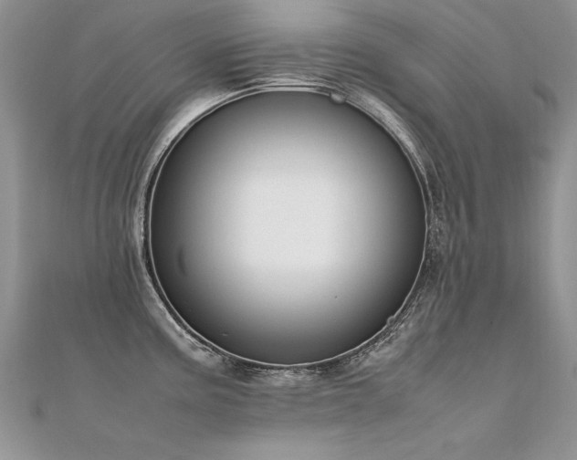 X0000112411195200908141354