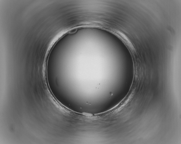 X0000112411196200908141354