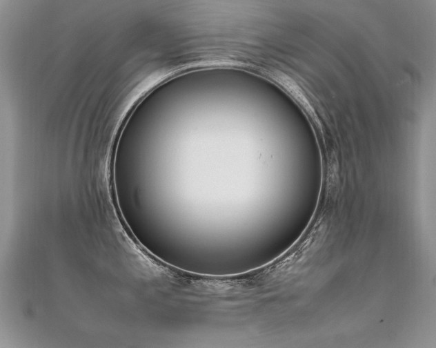 X0000112411197200908141354