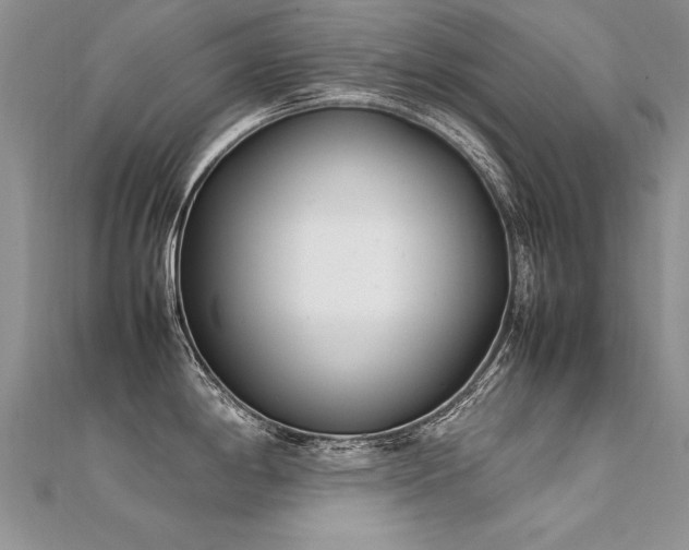 X0000112411198200908141353