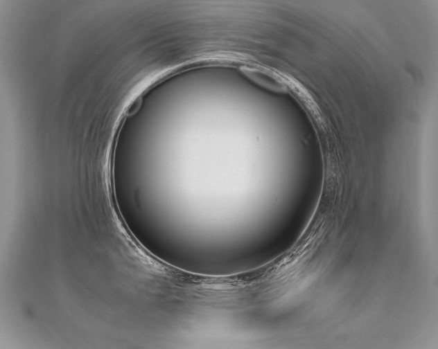 X0000112411199200908141353