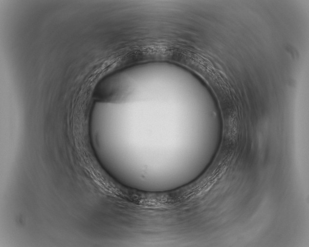 X0000112411201200908141353