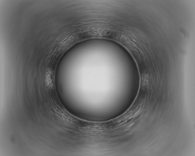 X0000112411202200908141353