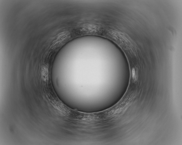 X0000112411203200908141353
