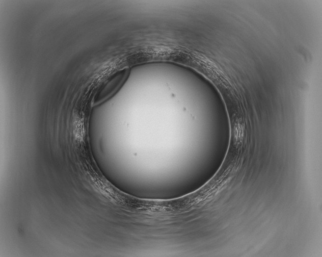 X0000112411204200908141353