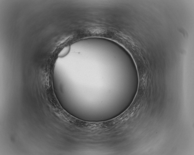 X0000112411205200908141353