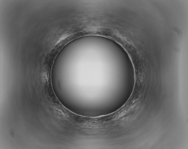 X0000112411206200908141353