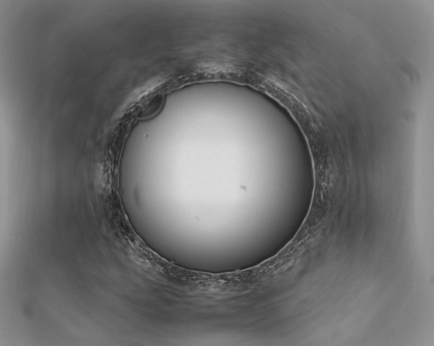 X0000112411207200908141353