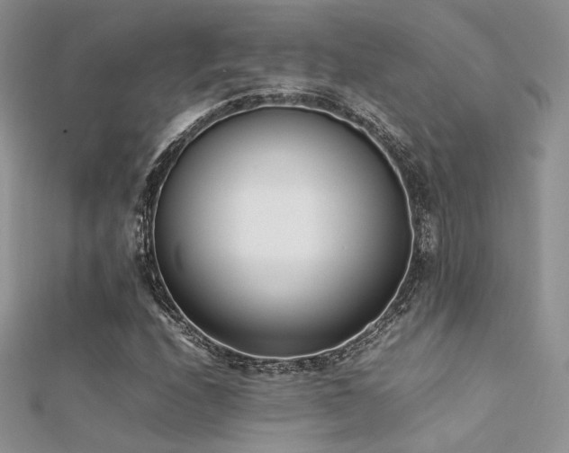 X0000112411208200908141353