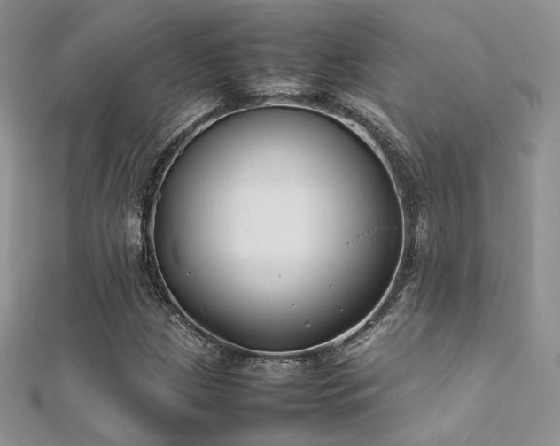 X0000112411209200908141353