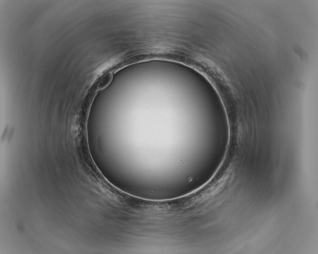 X0000112411210200908141353