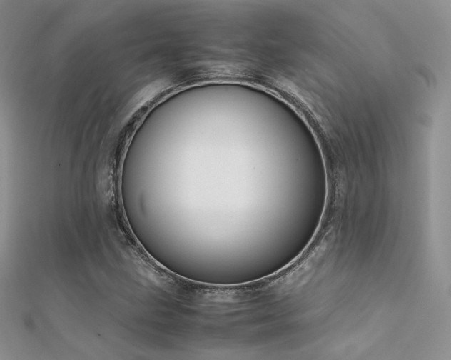 X0000112411211200908141353