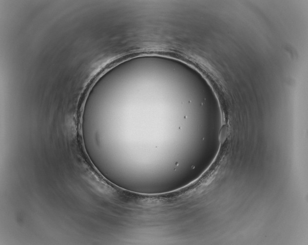 X0000112411212200908141353