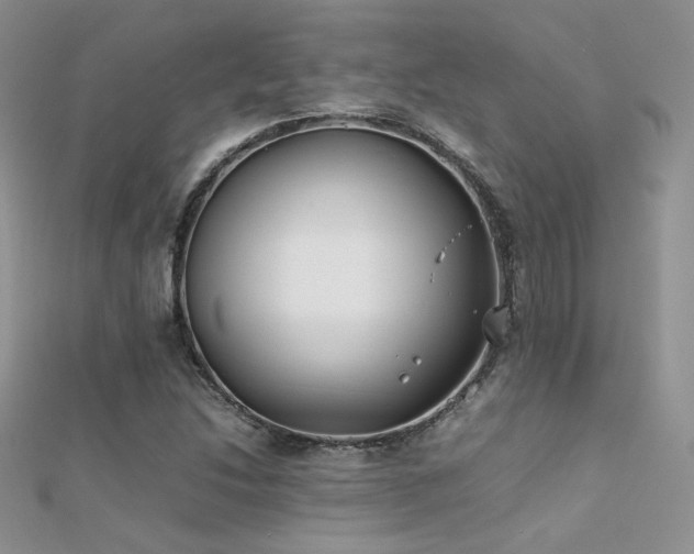X0000112411214200908141353