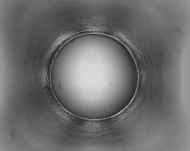 X0000112411215200908141353