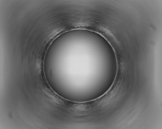 X0000112411217200908141353