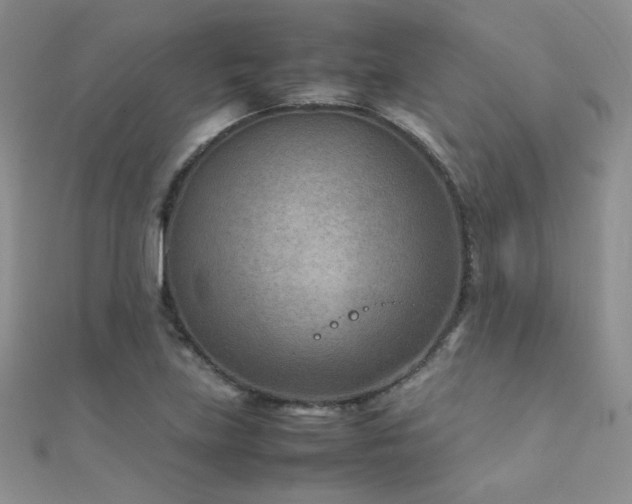X0000112411219200908141353
