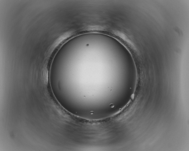 X0000112411221200908141353