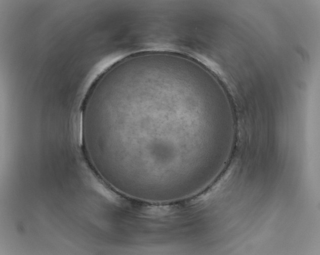 X0000112411223200908141353