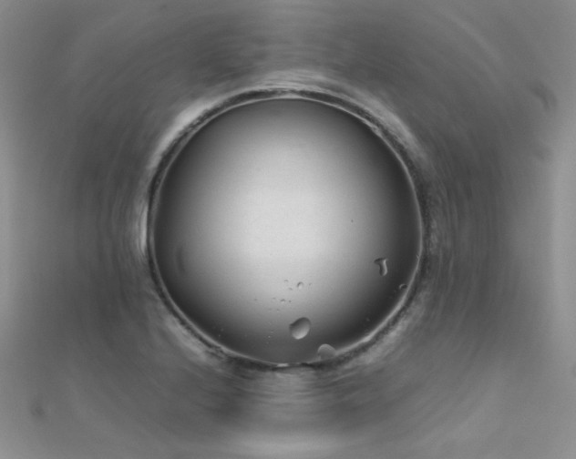 X0000112411224200908141353