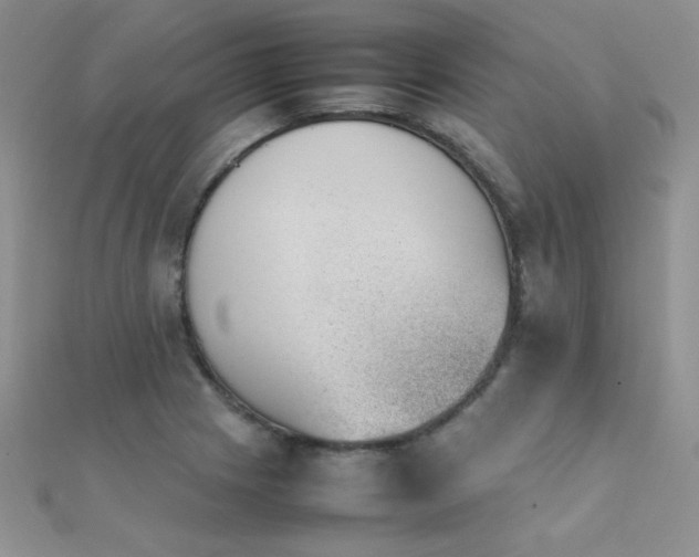 X0000112411225200908141353