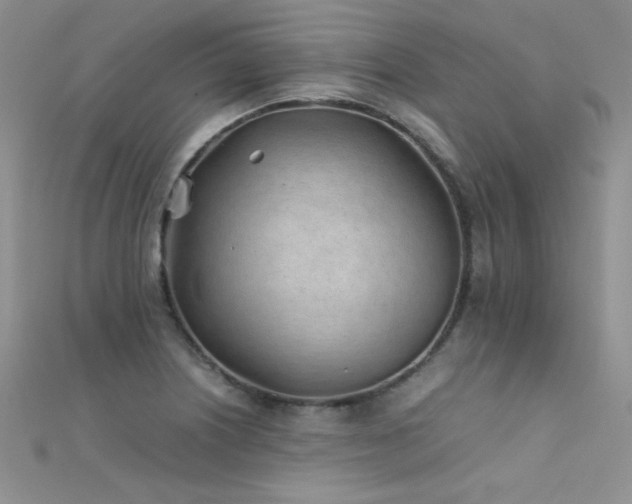 X0000112411226200908141353
