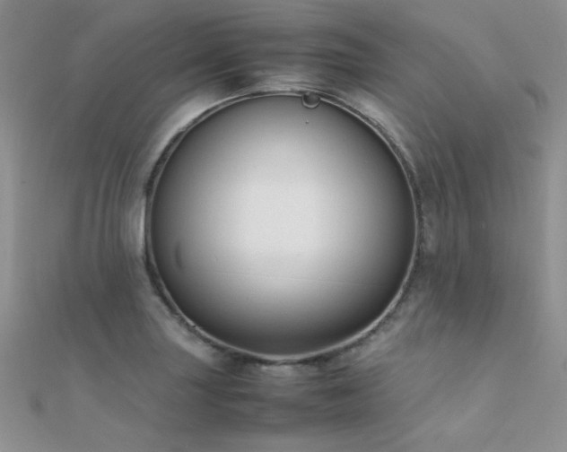 X0000112411227200908141353