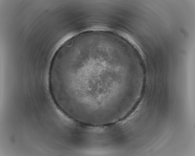 X0000112411229200908141353