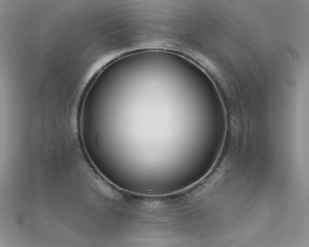 X0000112411230200908141353