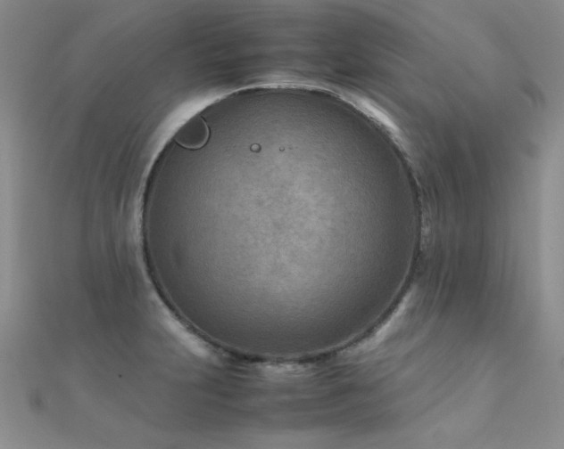 X0000112411231200908141353