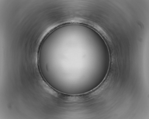 X0000112411232200908141353