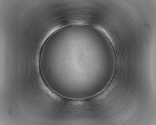 X0000112411235200908141353