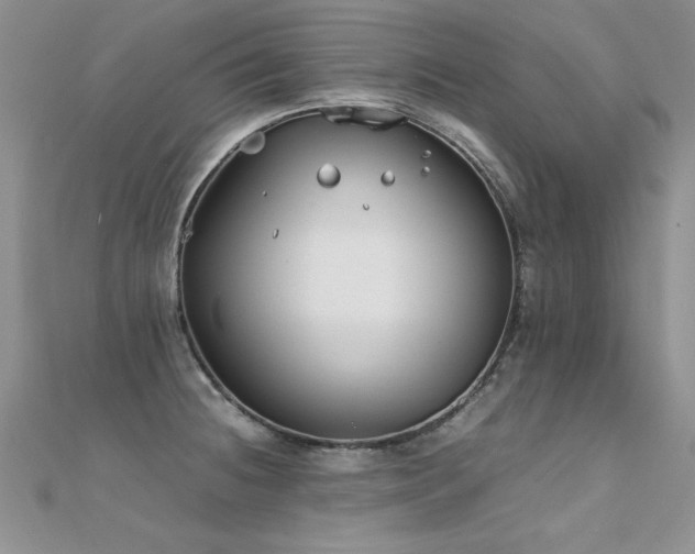 X0000112411236200908141353