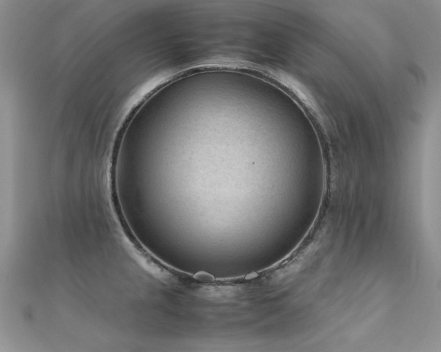 X0000112411237200908141353
