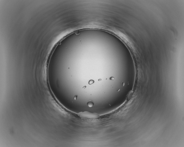 X0000112411238200908141353