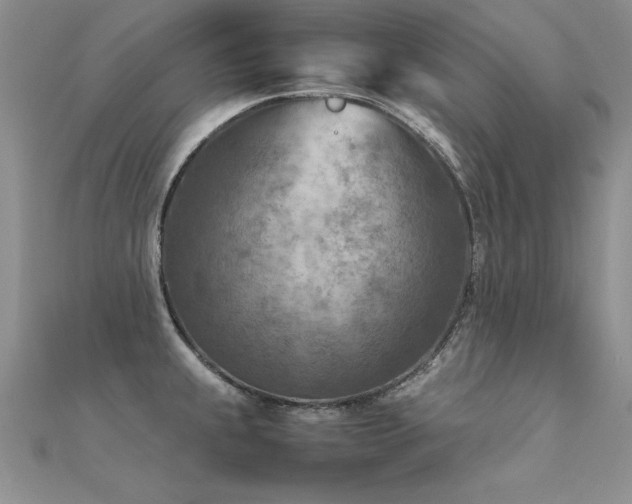 X0000112411239200908141353