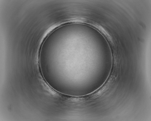 X0000112411240200908141353