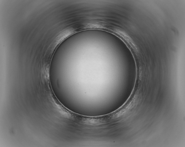 X0000112411241200908141353