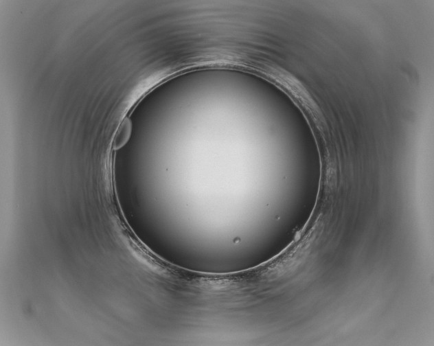 X0000112411242200908141353