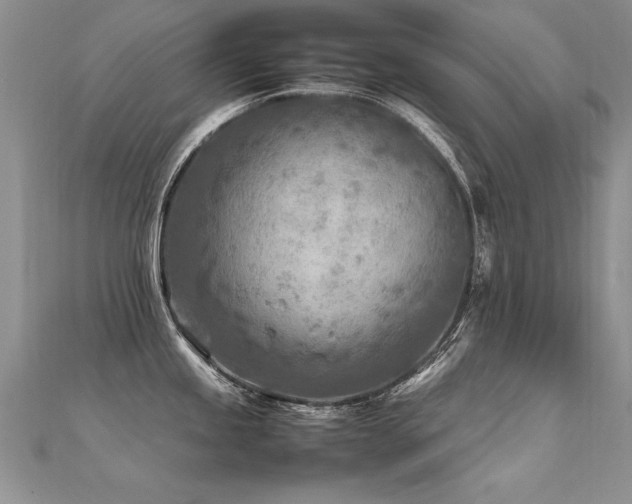 X0000112411245200908141353