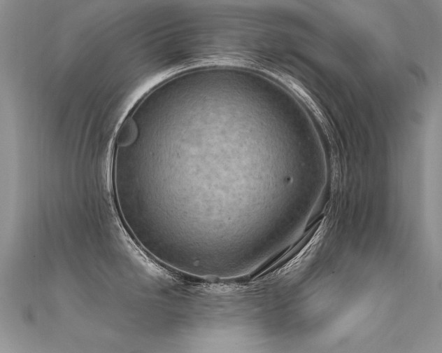X0000112411246200908141353