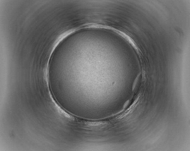 X0000112411247200908141353