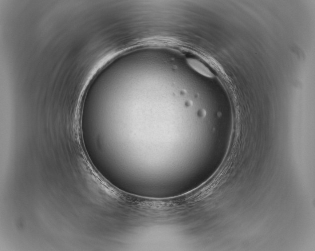 X0000112411248200908141353