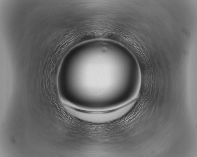X0000112411249200908141353
