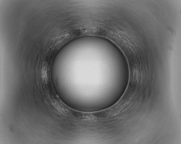 X0000112411250200908141353