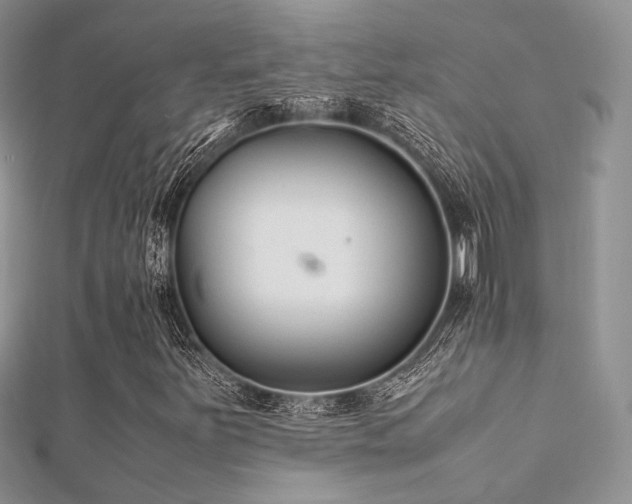 X0000112411251200908141353