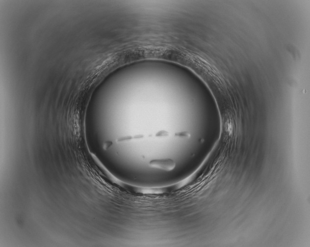 X0000112411252200908141353