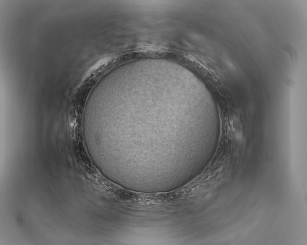 X0000112411254200908141353