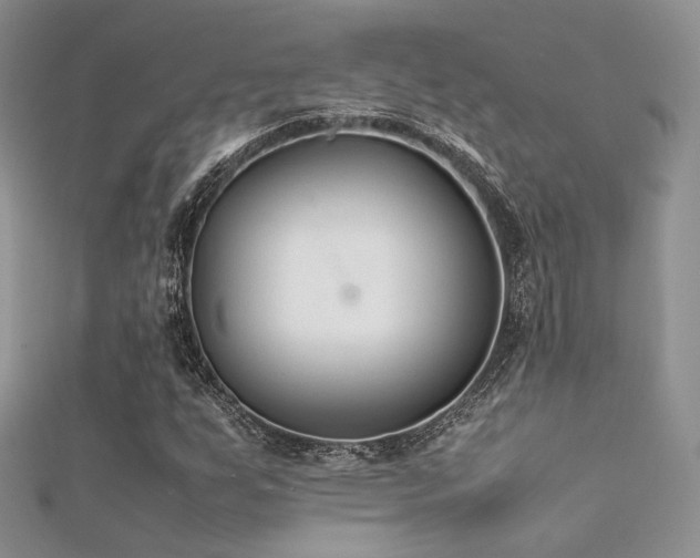 X0000112411255200908141353