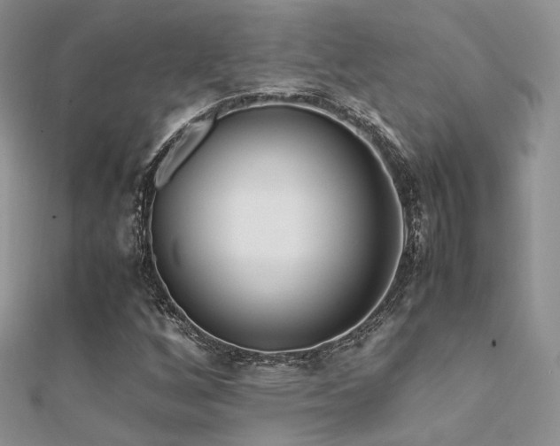 X0000112411256200908141353